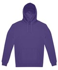 Radiant Purple