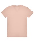 Soft Rose