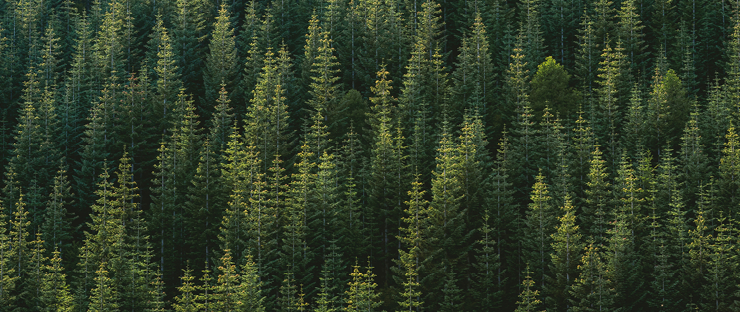 RAL17782 EXPLORE PANEL 3 740X312.png