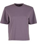 Dusty Purple